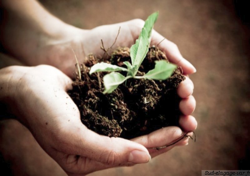 Compost, Terre enrichie et paillage - Compost vert