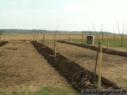 Compost, Terre enrichie et Paillage - Tarif sur la Garde