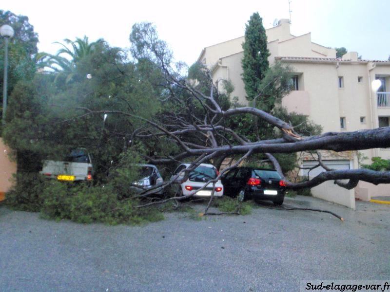 Sud Elagages sur La Garde - Urgence tempête 