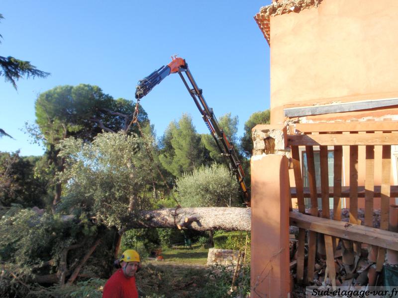 Sud Elagages sur La Garde - Urgence tempête enlèvement